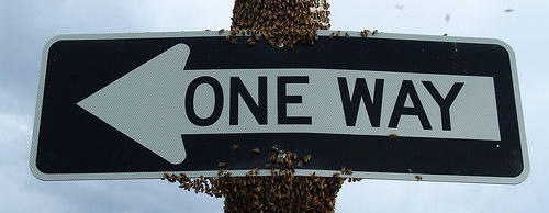 Calls To Action: Who and Where?