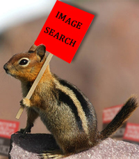 Image Search