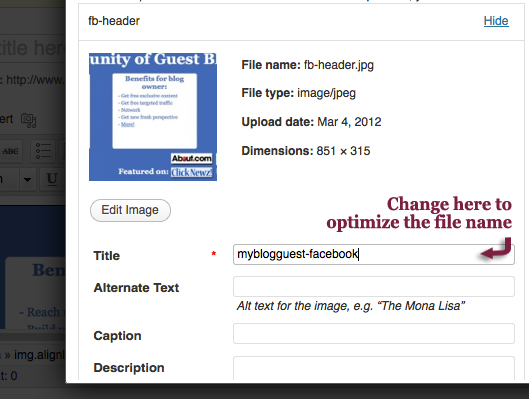 Media File Renamer