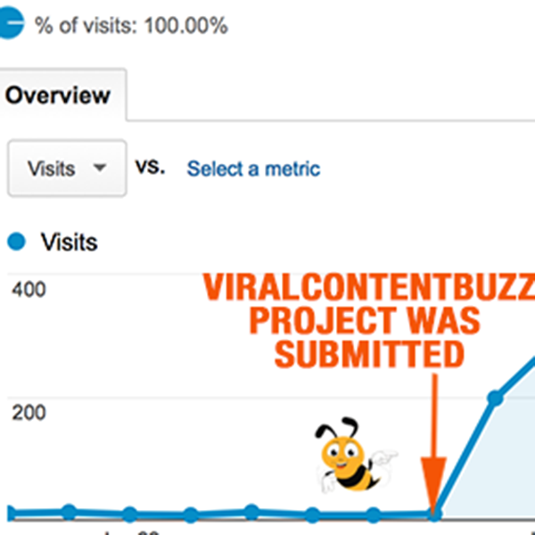My Viral Content Buzz Case Study: How to Get Found on the Internet viral content buzz case study stumbleupon My Viral Content Buzz Case Study: How to Get Found on the Internet