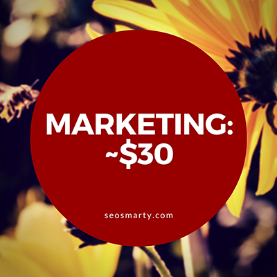 Content Marketing Expenses