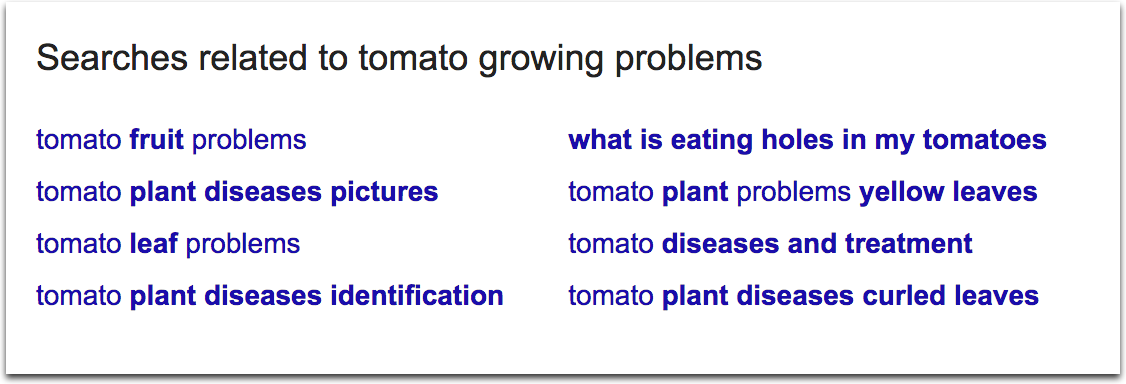 Google's "Searches related to"